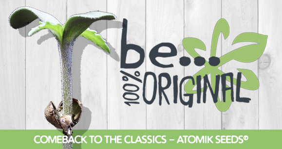 Be 100% Original. Atomik Seeds, semillas originales.
